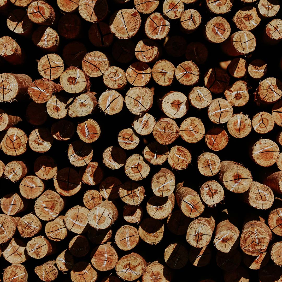 Eucalipto tratado maracanaú